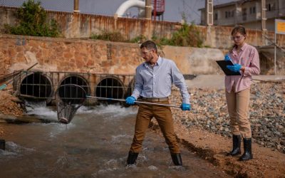 The Crisis of Traditional Cleaning Products and Their Devastating Impact on Our Waterways